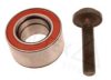 AUTEX 802041 Wheel Bearing Kit